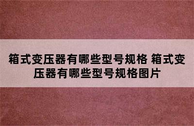 箱式变压器有哪些型号规格 箱式变压器有哪些型号规格图片